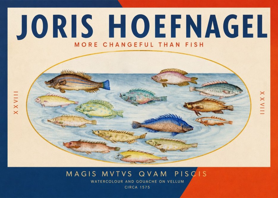 Joris Hoefnagel Fish More Than Silent No3 - Affiche