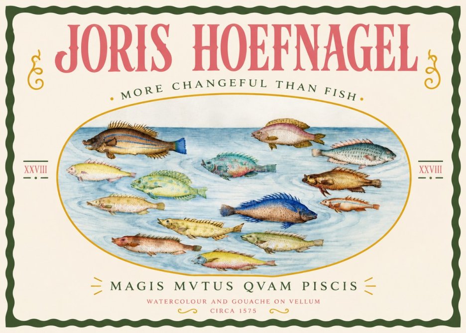 Joris Hoefnagel Fish More Than Silent No4 - Affiche