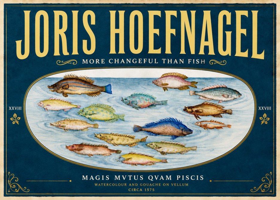 Joris Hoefnagel Fish More Than Silent No6 - Affiche
