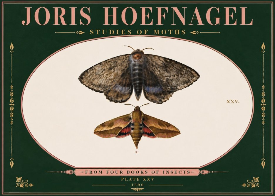 Joris Hoefnagel Studies of Moths I No6 - Affiche