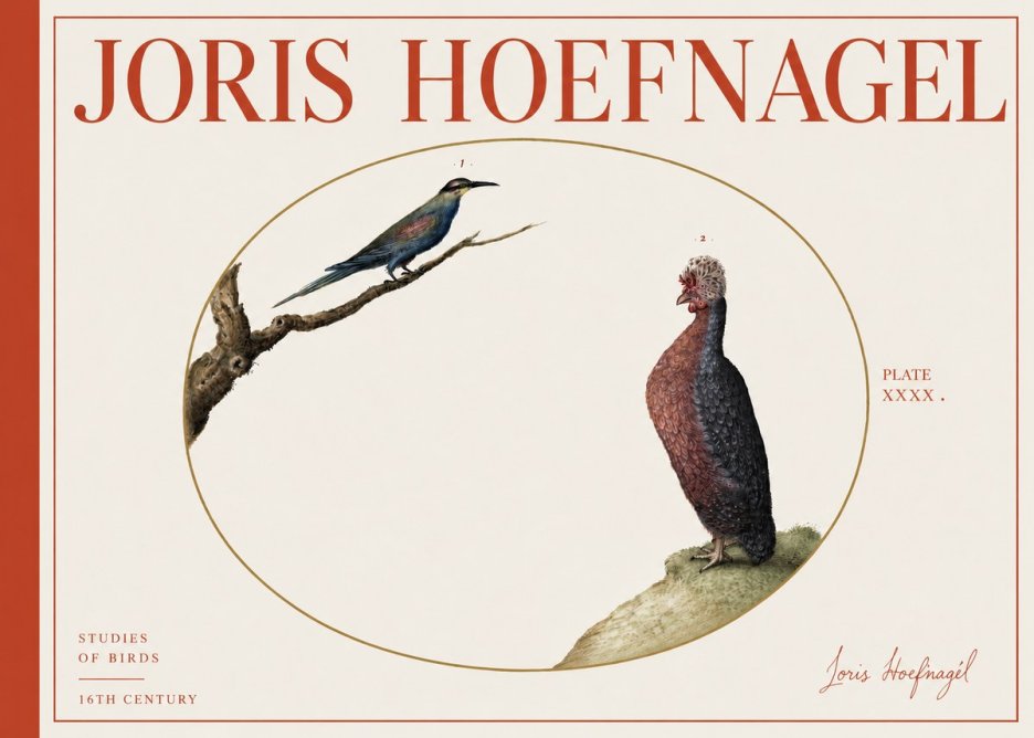 Joris Hoefnagel Studies of Birds I No4 - Affiche