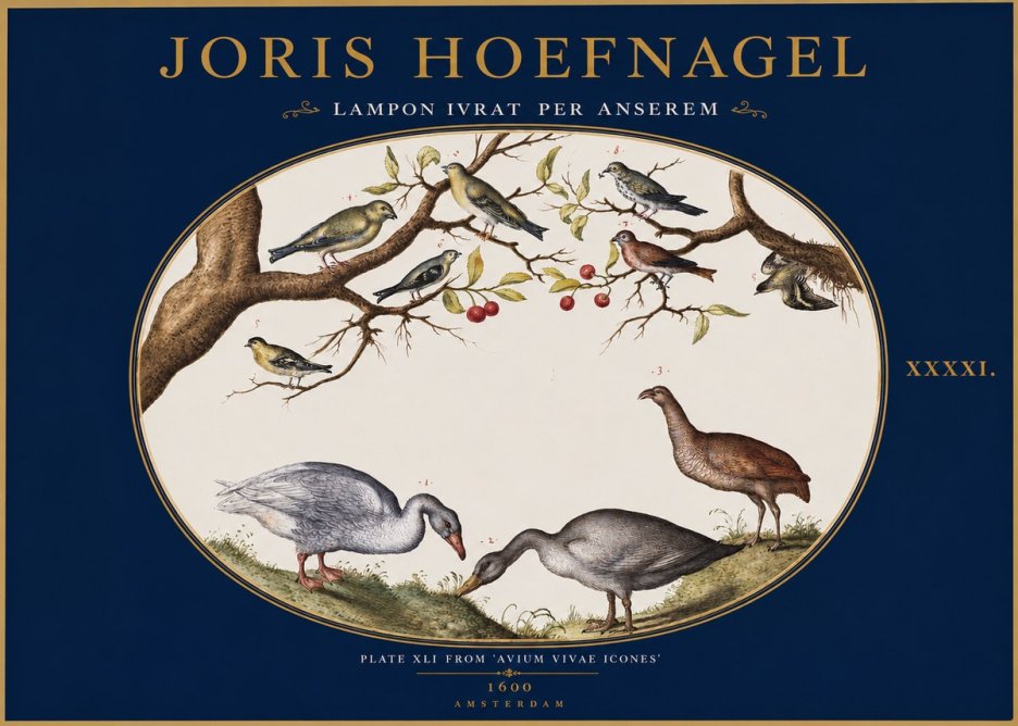 Joris Hoefnagel Lampon Ivrat per Anserem No2 - Affiche