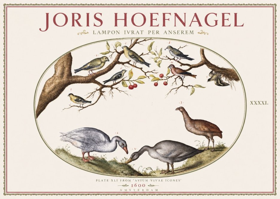 Joris Hoefnagel Lampon Ivrat per Anserem No3 - Affiche