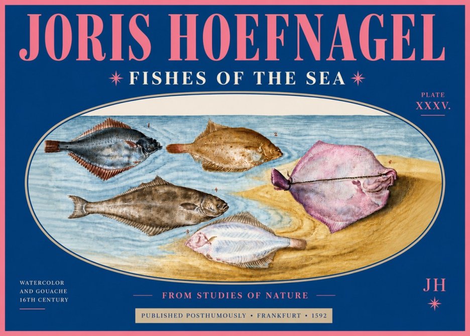 Joris Hoefnagel Fishes of the Sea II No4 - Affiche