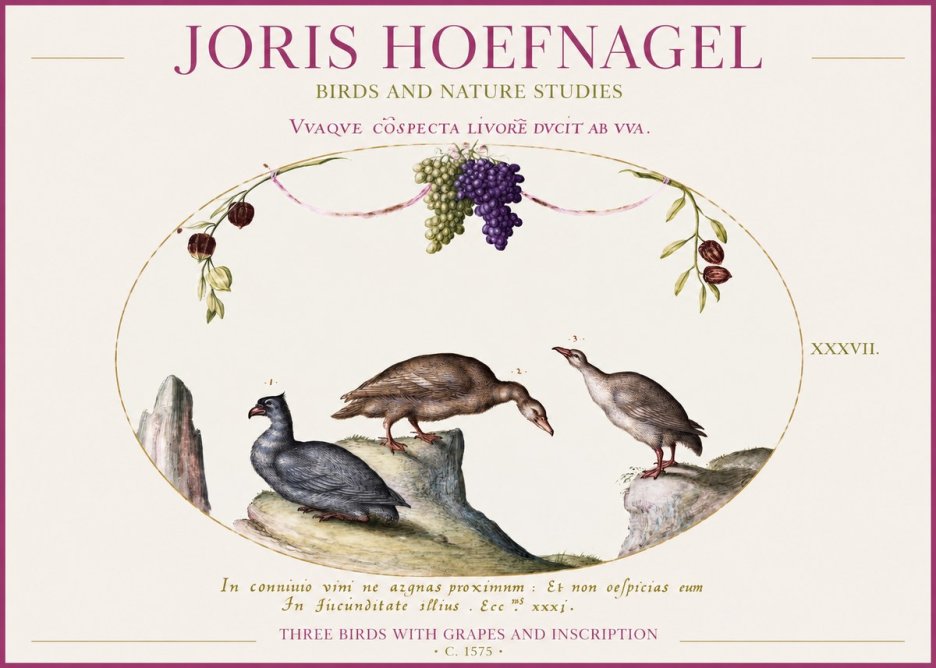 Joris Hoefnagel Three Birds with Grapes and Inscription No1 - Affiche