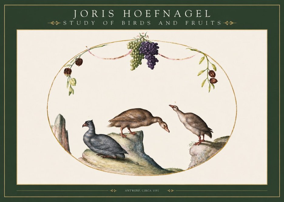 Joris Hoefnagel Three Birds with Grapes and Inscription No3 - Affiche