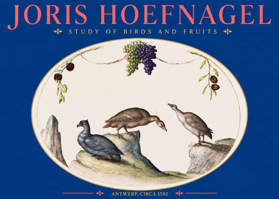 Joris Hoefnagel Three Birds with Grapes and Inscription No5 - Affiche
