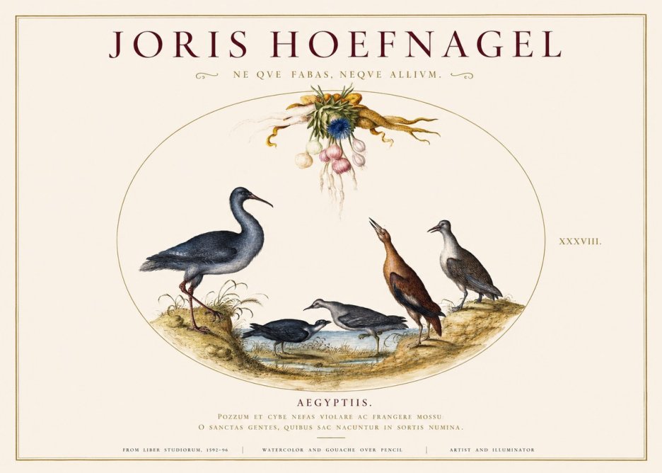 Joris Hoefnagel Aegyptiis. No1 - Affiche