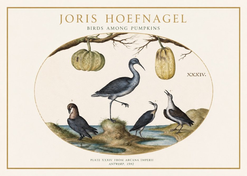 Joris Hoefnagel Birds and Fruits No2 - Affiche