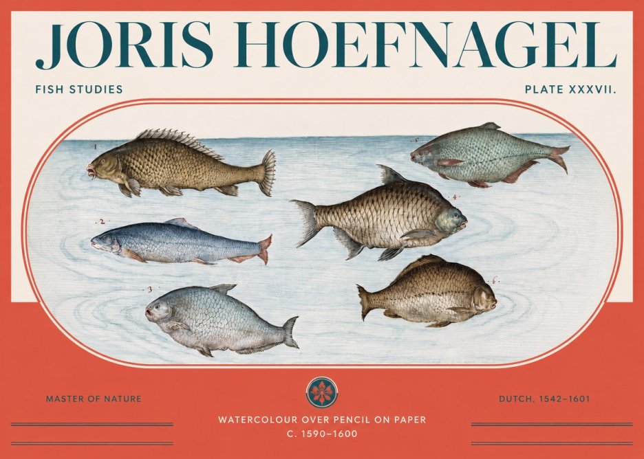 Joris Hoefnagel Six Freshwater Fish No3 - Affiche