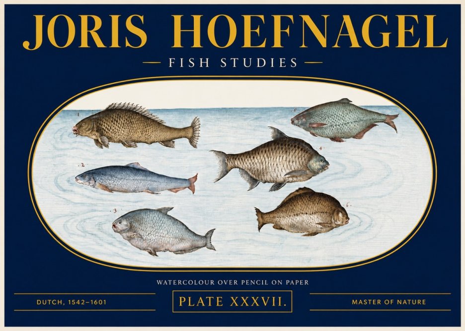 Joris Hoefnagel Six Freshwater Fish No4 - Affiche