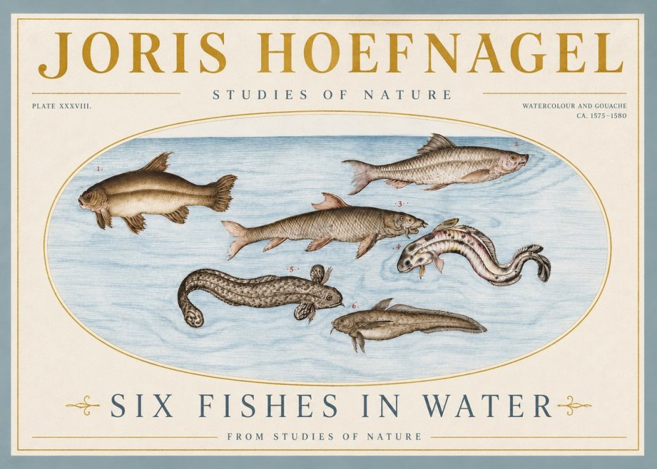 Joris Hoefnagel Six Fishes in Water II No4 - Affiche