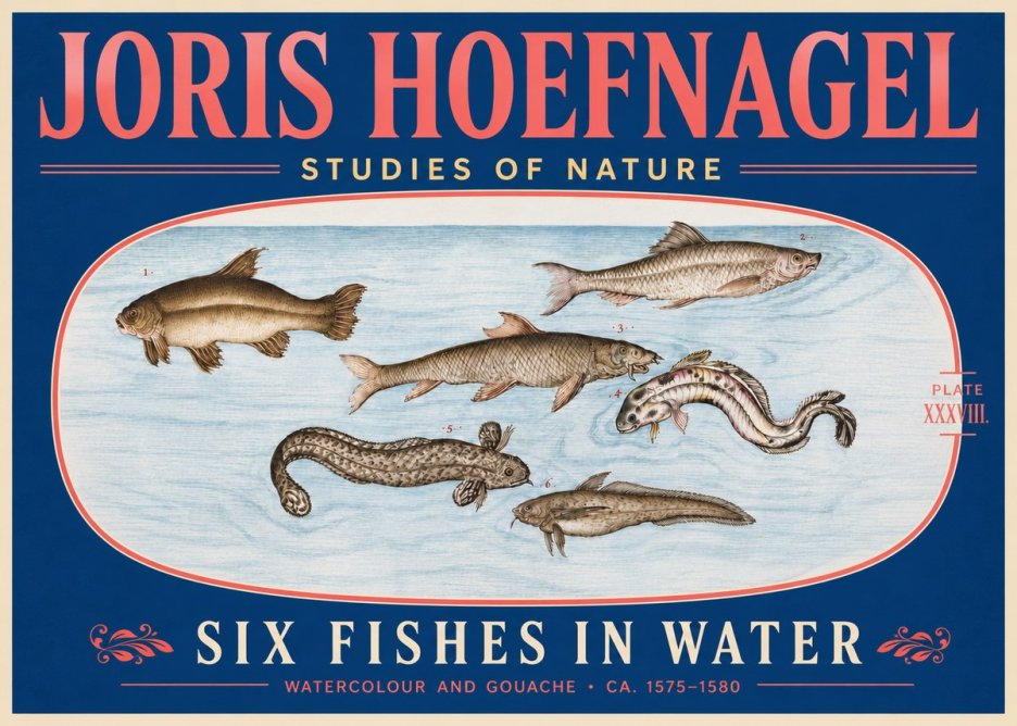 Joris Hoefnagel Six Fishes in Water II No5 - Affiche