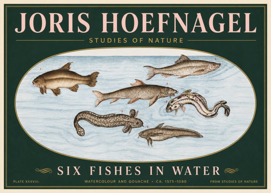 Joris Hoefnagel Six Fishes in Water II No6 - Affiche