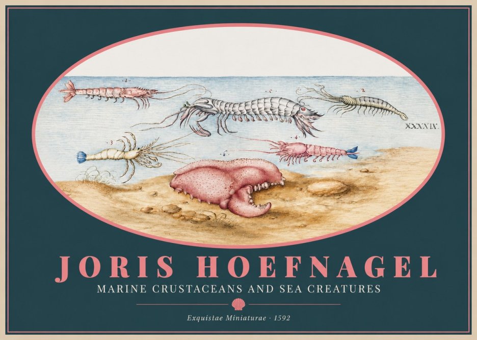 Joris Hoefnagel Marine Crustaceans and Sea Creature No2 - Affiche