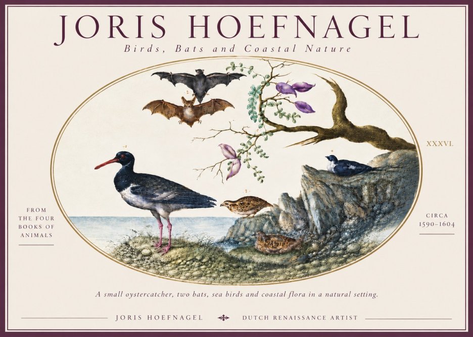 Joris Hoefnagel Birds, Bats and Coastal Nature No6 - Affiche