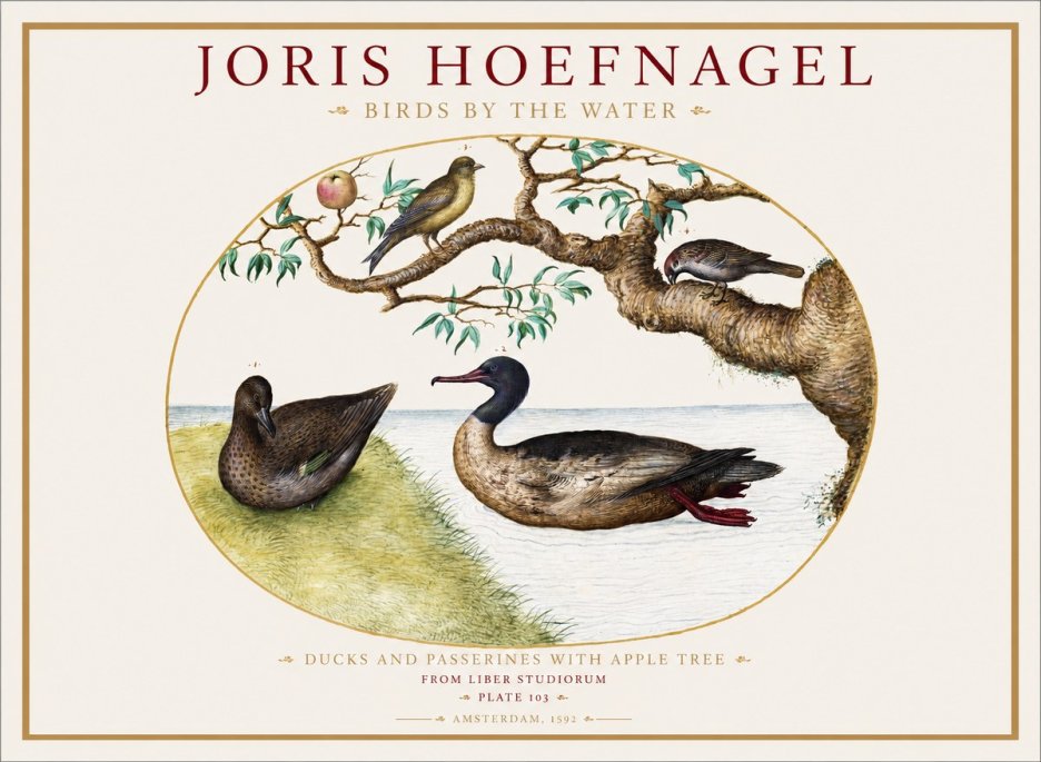 Joris Hoefnagel Ducks and Passerines with Apple Tree No1 - Affiche