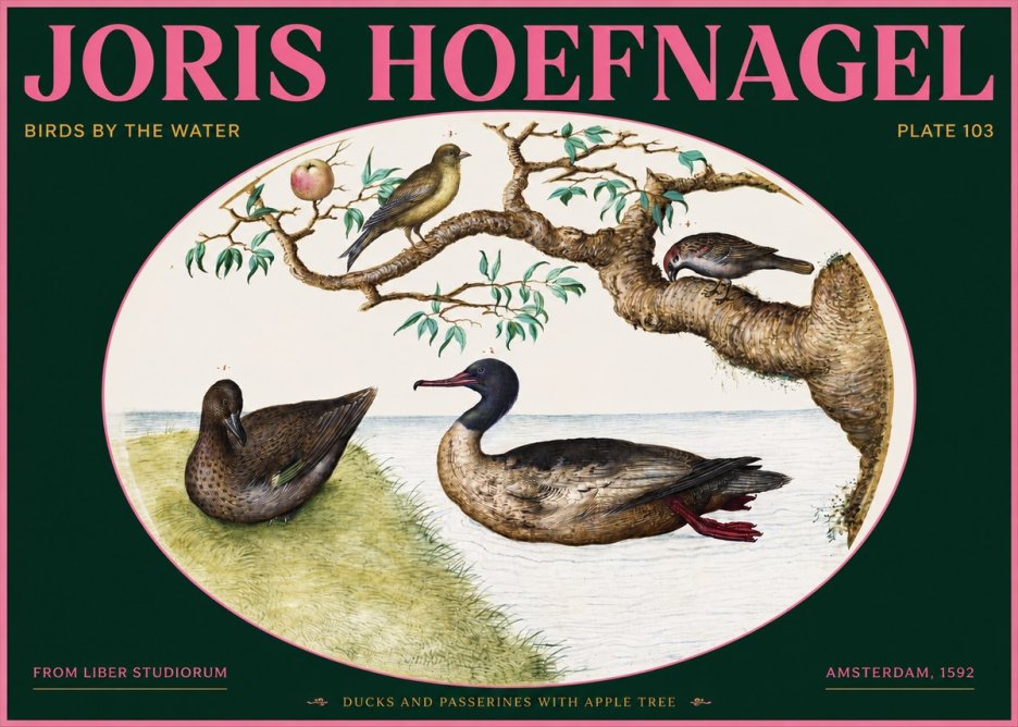 Joris Hoefnagel Ducks and Passerines with Apple Tree No2 - Affiche