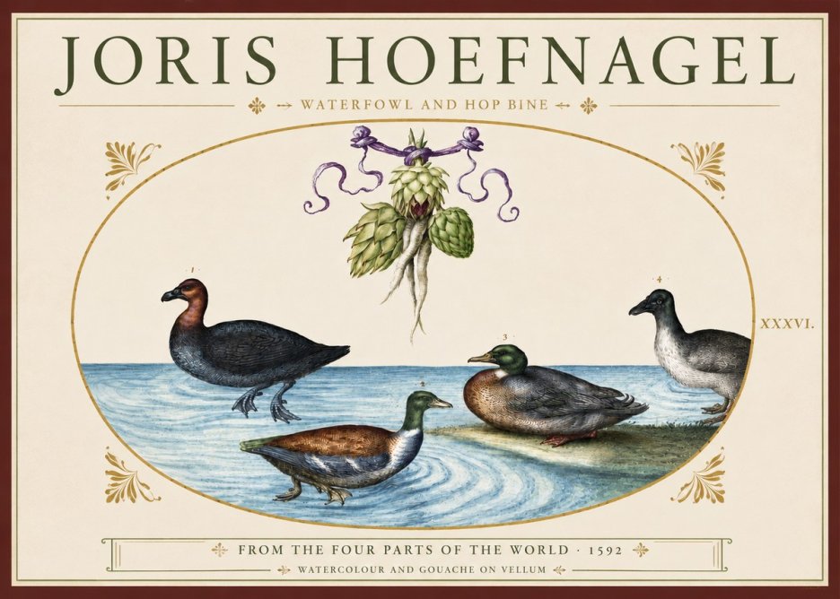 Joris Hoefnagel Waterfowl and Hop Bine No3 - Affiche