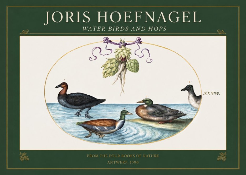 Joris Hoefnagel Waterfowl and Hop Bine No5 - Affiche