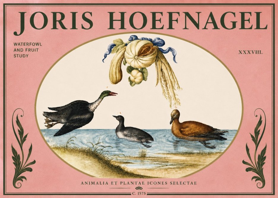 Joris Hoefnagel Waterfowl and Fruit Study No4 - Affiche