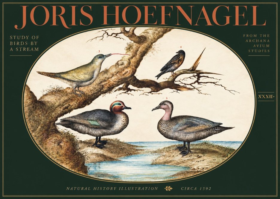Joris Hoefnagel Study of Birds by a Stream No3 - Affiche