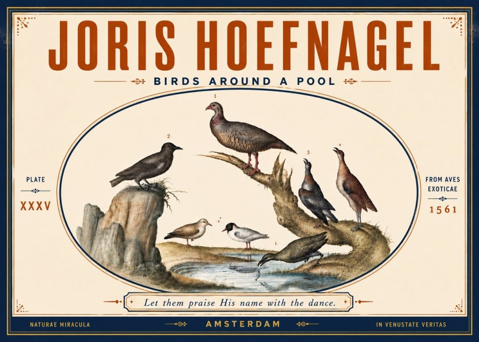 Joris Hoefnagel Birds Around a Pool No5 - Affiche