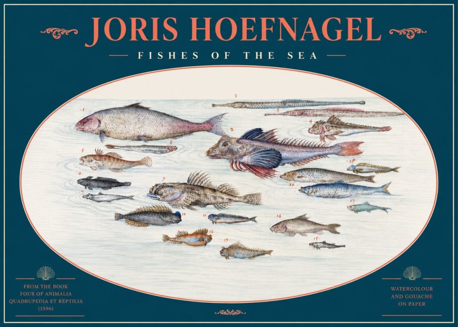 Joris Hoefnagel Fishes of the Sea III No2 - Affiche