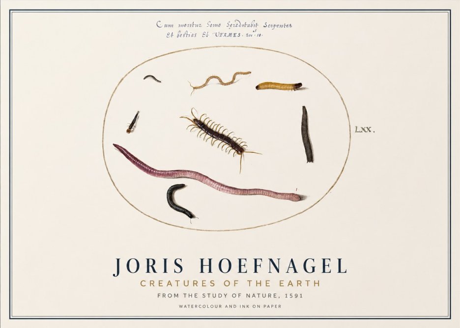 Joris Hoefnagel Creatures of the Earth II No1 - Affiche