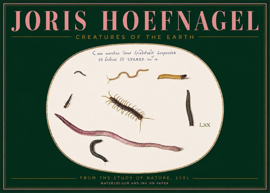 Joris Hoefnagel Creatures of the Earth II No2 - Affiche