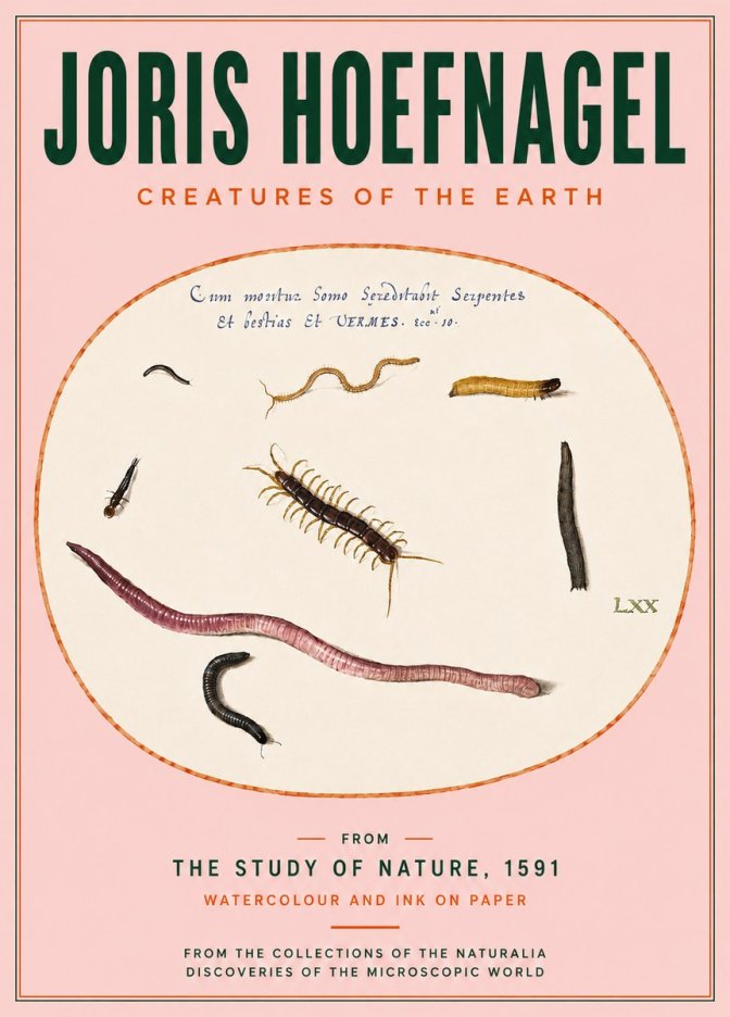Joris Hoefnagel Creatures of the Earth II No4 - Affiche