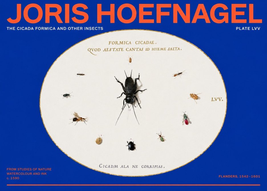 Joris Hoefnagel Formica Cicadae No6 - Affiche