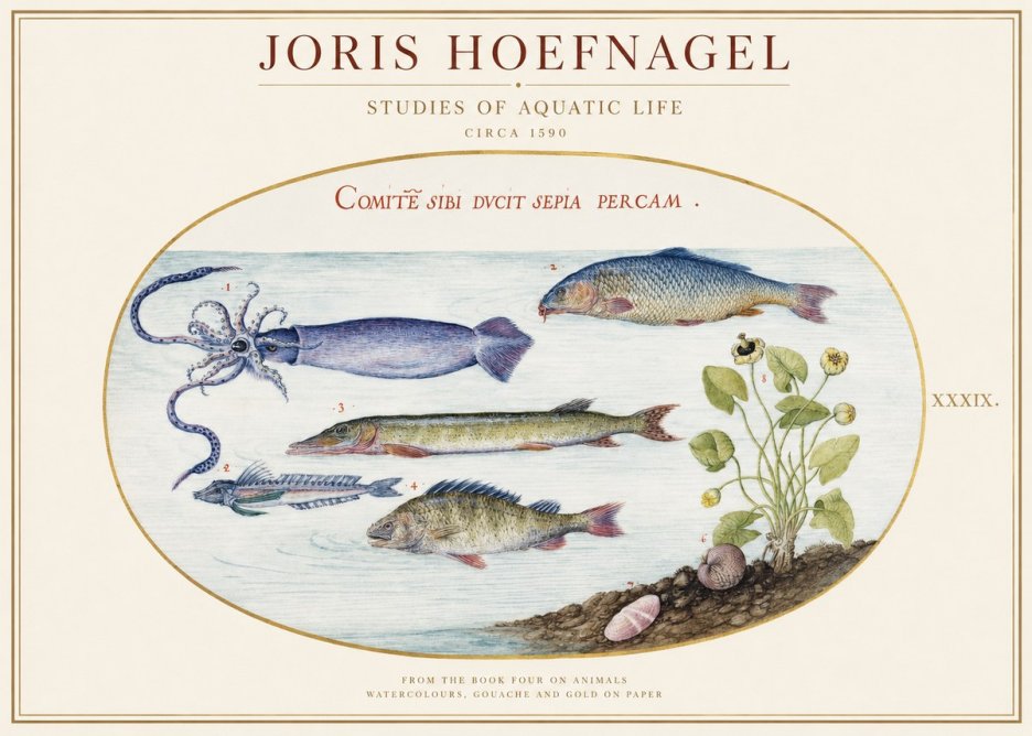 Joris Hoefnagel Comitẽ Sibi Ducit Sepia Percam. No1 - Affiche