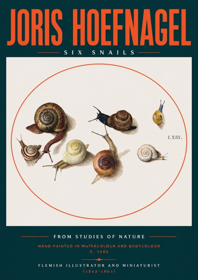 Joris Hoefnagel Six Snails No2 - Affiche