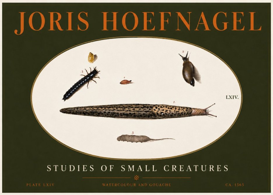 Joris Hoefnagel Plate Lxiv No4 - Affiche