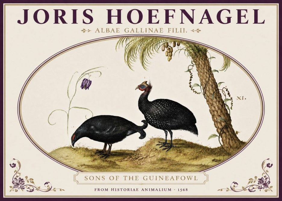 Joris Hoefnagel Albae Gallinae Filii. No4 - Affiche