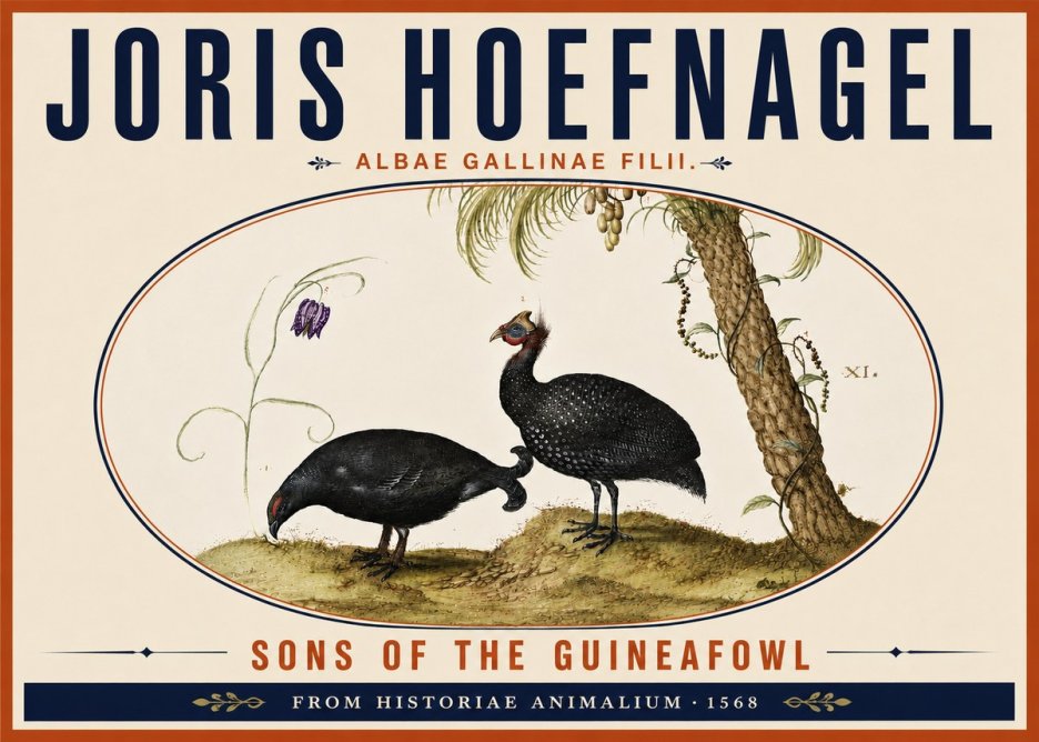 Joris Hoefnagel Albae Gallinae Filii. No6 - Affiche