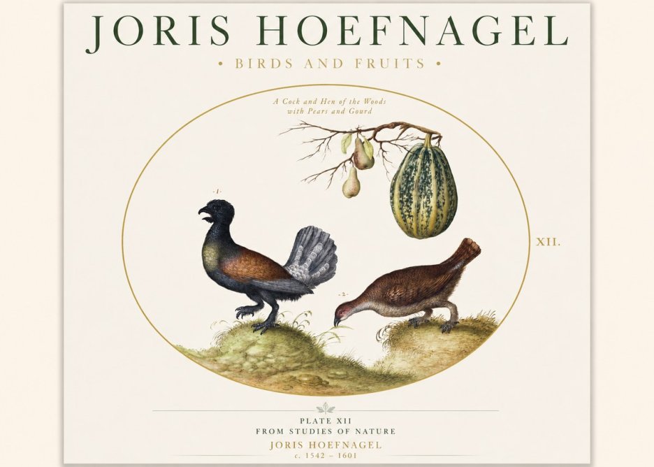 Joris Hoefnagel A Cock and Hen of the Woods with Pears and Gourd No1 - Affiche