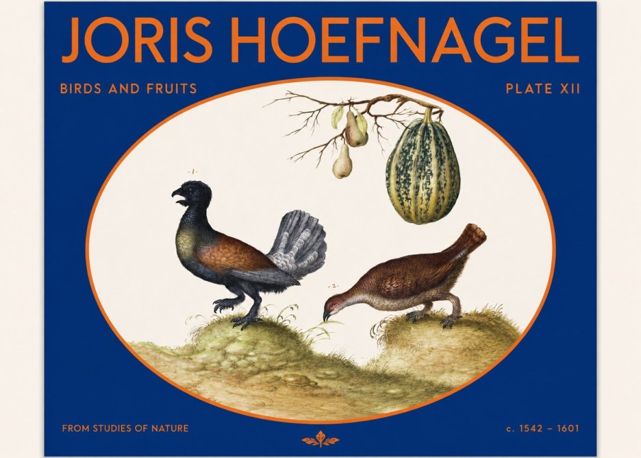 Joris Hoefnagel A Cock and Hen of the Woods with Pears and Gourd No2 - Affiche