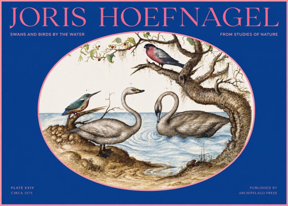 Joris Hoefnagel Swans and Birds by the Water No2 - Affiche