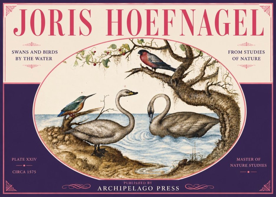Joris Hoefnagel Swans and Birds by the Water No6 - Affiche