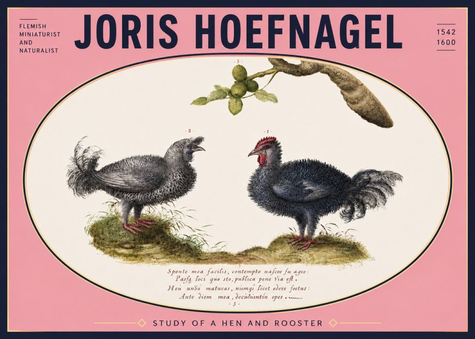 Joris Hoefnagel Study of a Hen and Rooster No5 - Affiche
