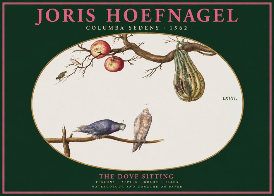 Joris Hoefnagel Pigeons Sitting. No3 - Affiche