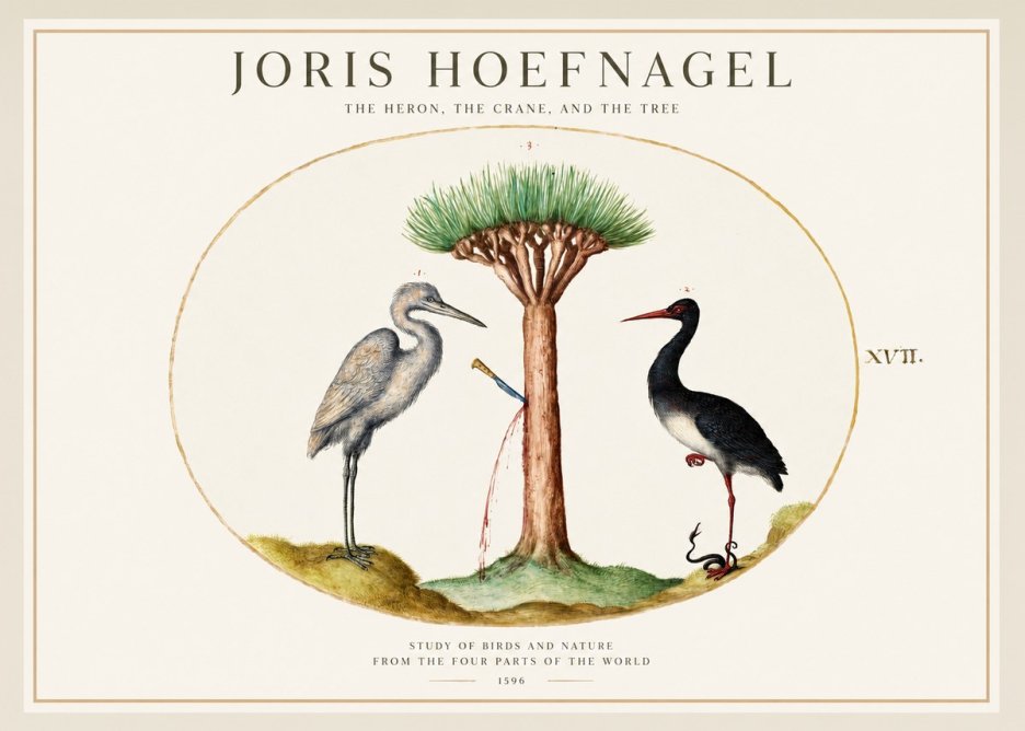 Joris Hoefnagel The Heron, the Crane, and the Tree No1 - Affiche