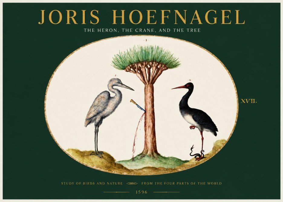 Joris Hoefnagel The Heron, the Crane, and the Tree No2 - Affiche