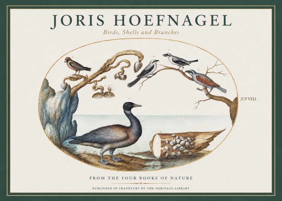 Joris Hoefnagel Birds, Shells and Branches No1 - Affiche