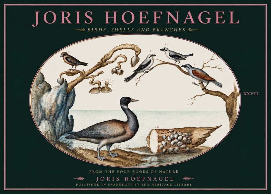 Joris Hoefnagel Birds, Shells and Branches No4 - Affiche