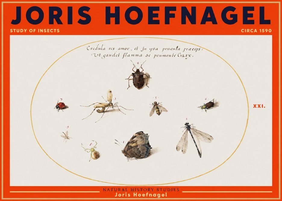 Joris Hoefnagel Study of Insects • Circa 1590 No3 - Affiche