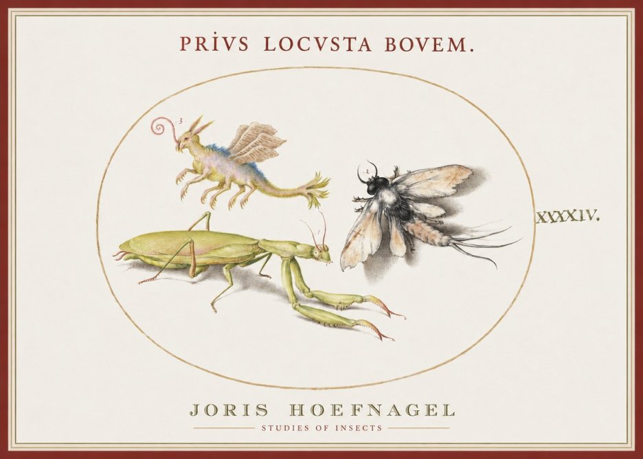 Joris Hoefnagel Privs Locvsta Bovem. No1 - Affiche