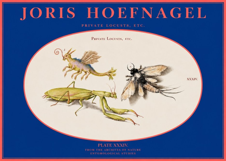 Joris Hoefnagel Privs Locvsta Bovem. No3 - Affiche